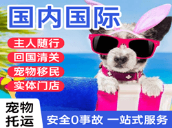 乌兰浩特航空快运国际宠物托运 【国